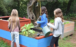Un poumon vert dans la ville. Animations scolaires. Visite des jardins et de la ferme en accès libre et gratuit pour tous Exposition "CABANES" VOIR LES MODALITES..