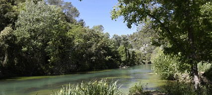 Le Département du Var, propriétaire de 246 Espaces Naturels Sensibles, ouvre ses sites au public à l'occasion de sorties nature. Accompagnés par des guides naturalistes, vous pourrez découvrir la faune et la flore varoises, ainsi que leurs fonctions biologiques et paysagères. ACCEDEZ AUX INSCRIPTIONS..